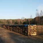 text_12_2